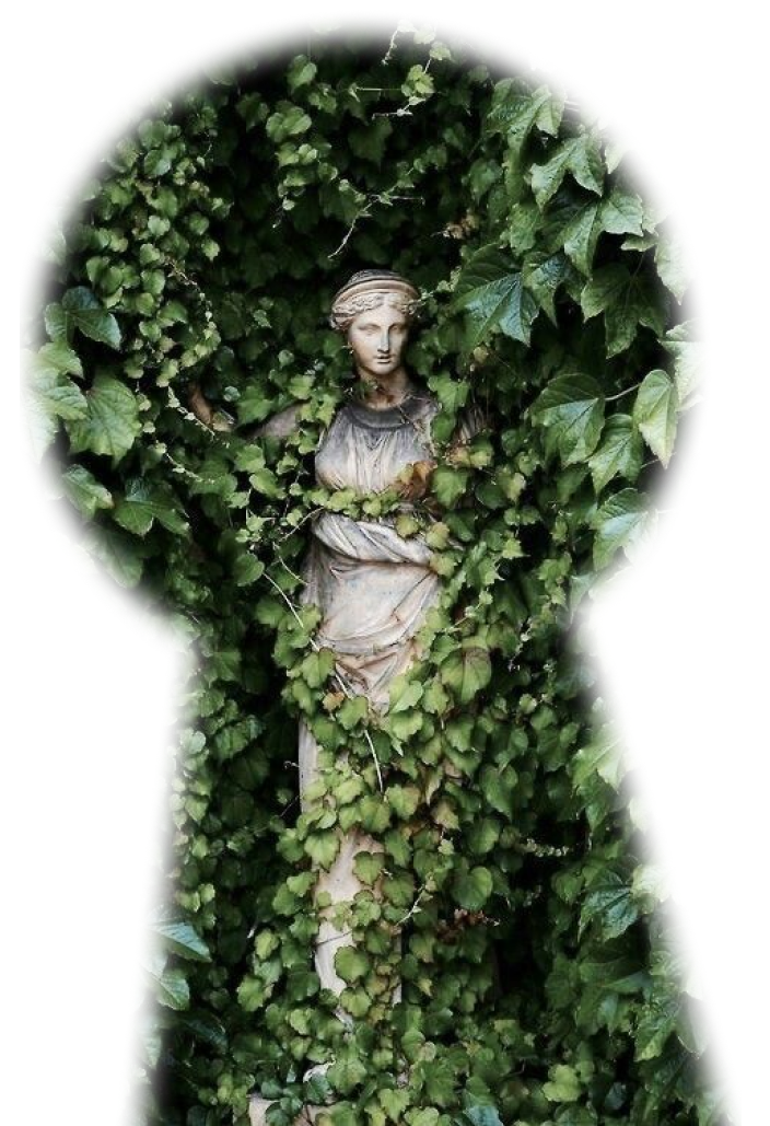 Classical statue surrounded by ivy